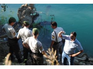 Manavgat Irmağında Kimliği Belirsiz Erkek Cesedi Bulundu