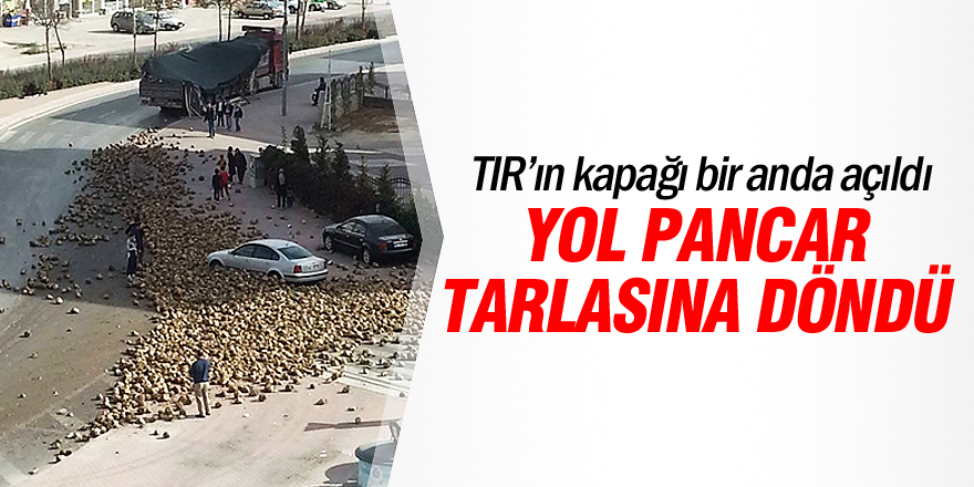 Yol pancar tarlasına döndü