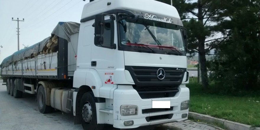 Belgesiz hayvan derisi nakline jandarma engeli