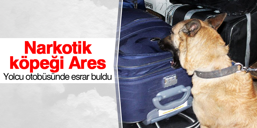 Otobüsteki uyuşturucuyu "Ares" buldu