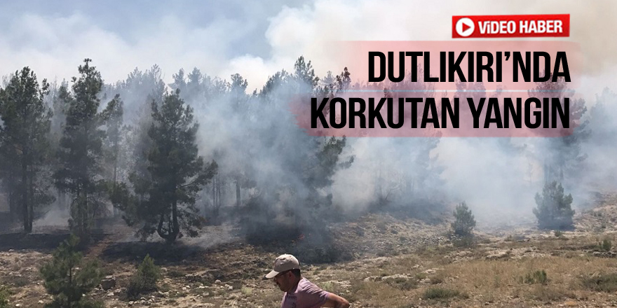 Dutlıkırı mesire alanı yanıyor