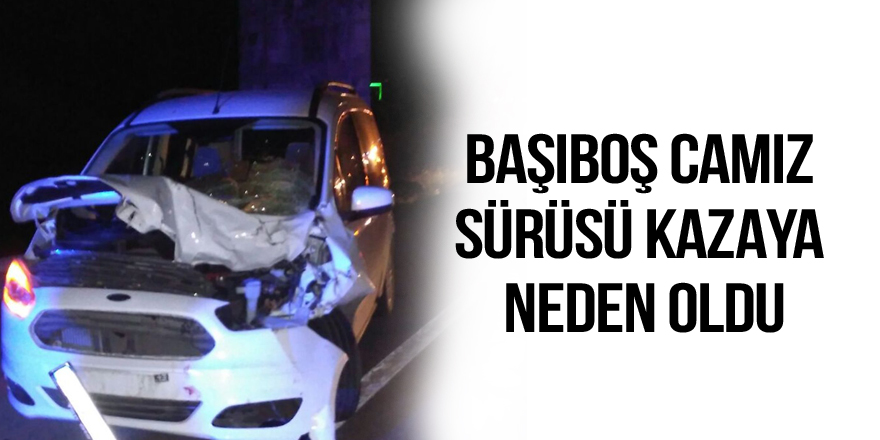Başıboş camız sürüsü kazaya neden oldu