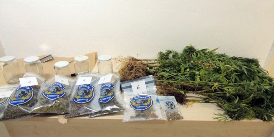 Balkon ve terasta kenevir yetiştiren 2 kardeş yakalandı