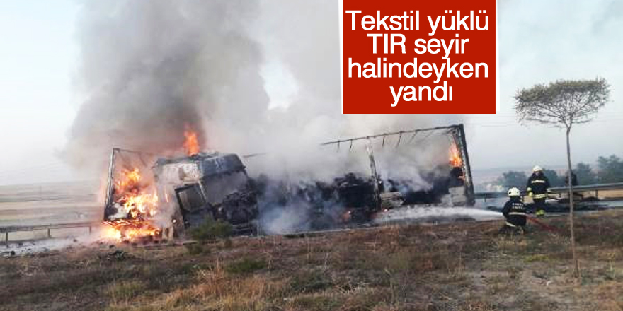 Seyir halinde alev alan TIR yandı