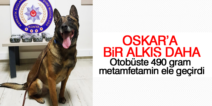 Narkotik köpeği Oscar, otobüste uyuşturucu madde buldu
