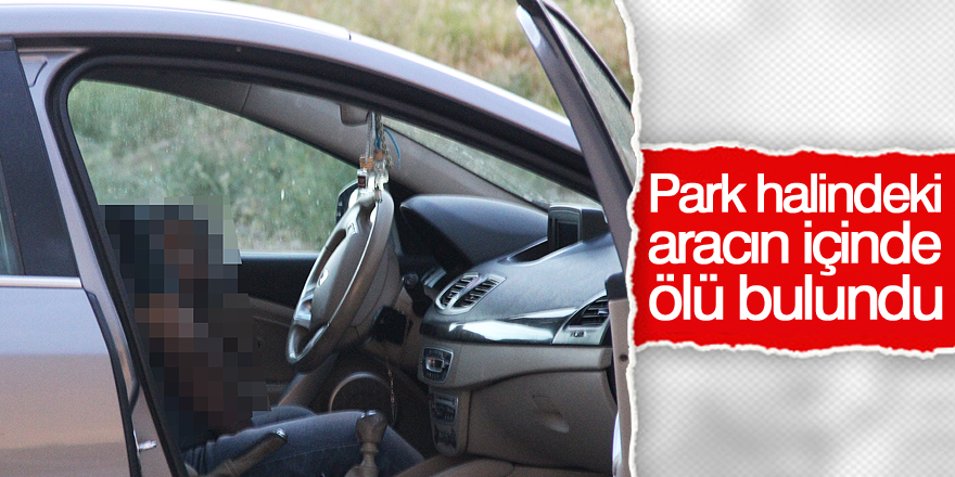 Park halindeki aracın içinde ölü bulundu