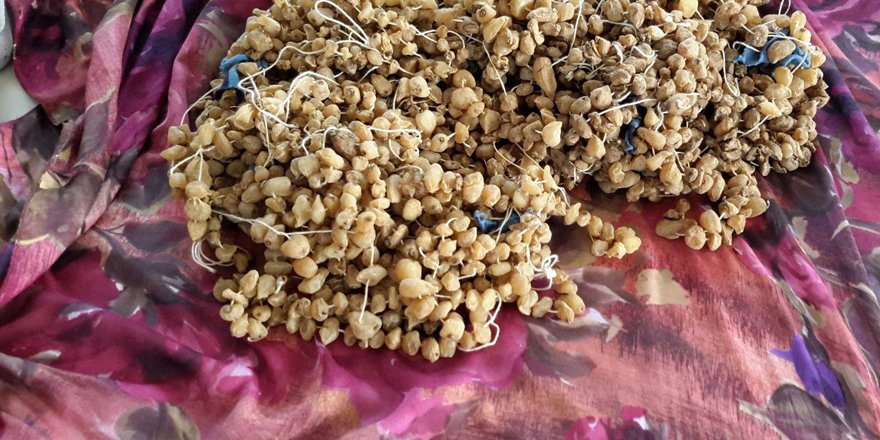 Durdurulan aracın stepnesinden salep soğanı çıktı