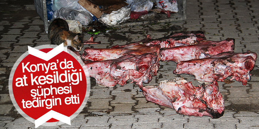 At kesildiği şüphesi tedirgin etti