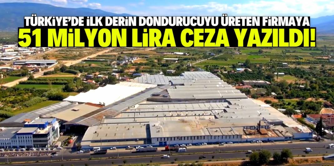 Türkiye'de ilk derin dondurucuyu üreten firmaya 51 milyon lira ceza! 1