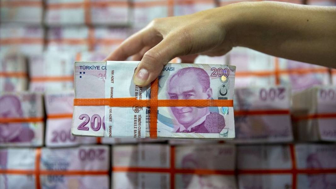 Yeni Türk Lirası basılacak! İşte yerli para biriminin özellikleri 6
