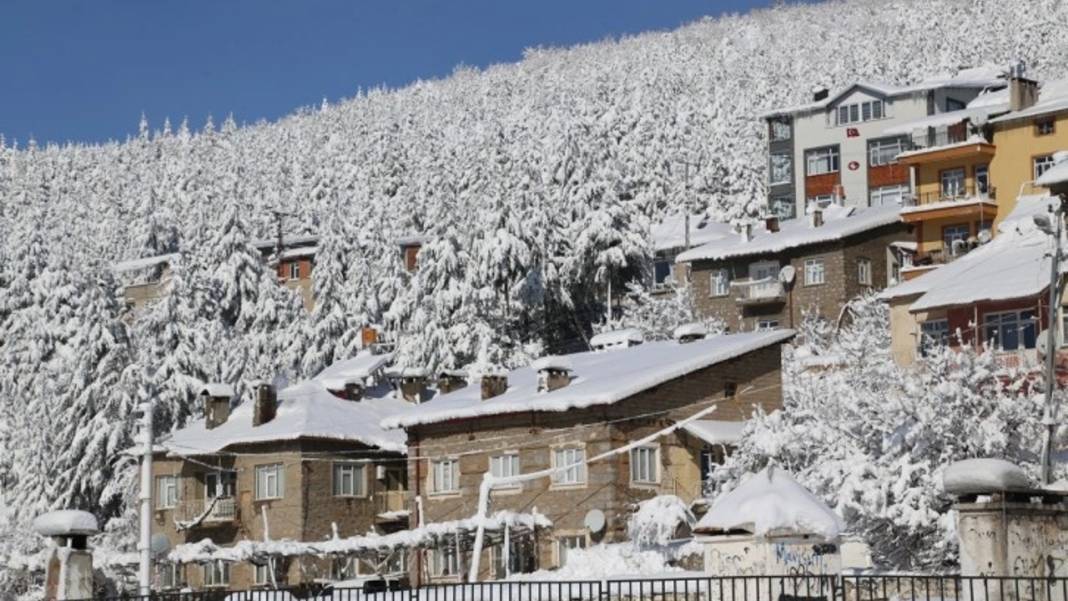 Konya'da bu köye tam 2,5 metre kar yağdı! 9