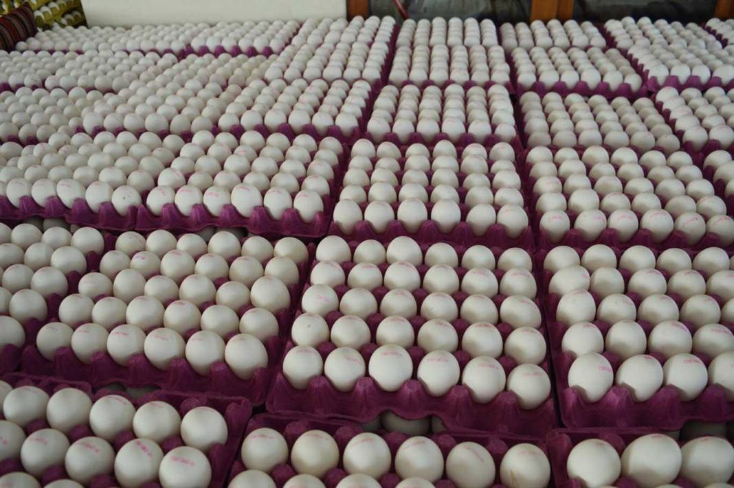 Türkiye'de en ucuz yumurtayı bu market satacak! 81 ilde binlerce şubesi var 7