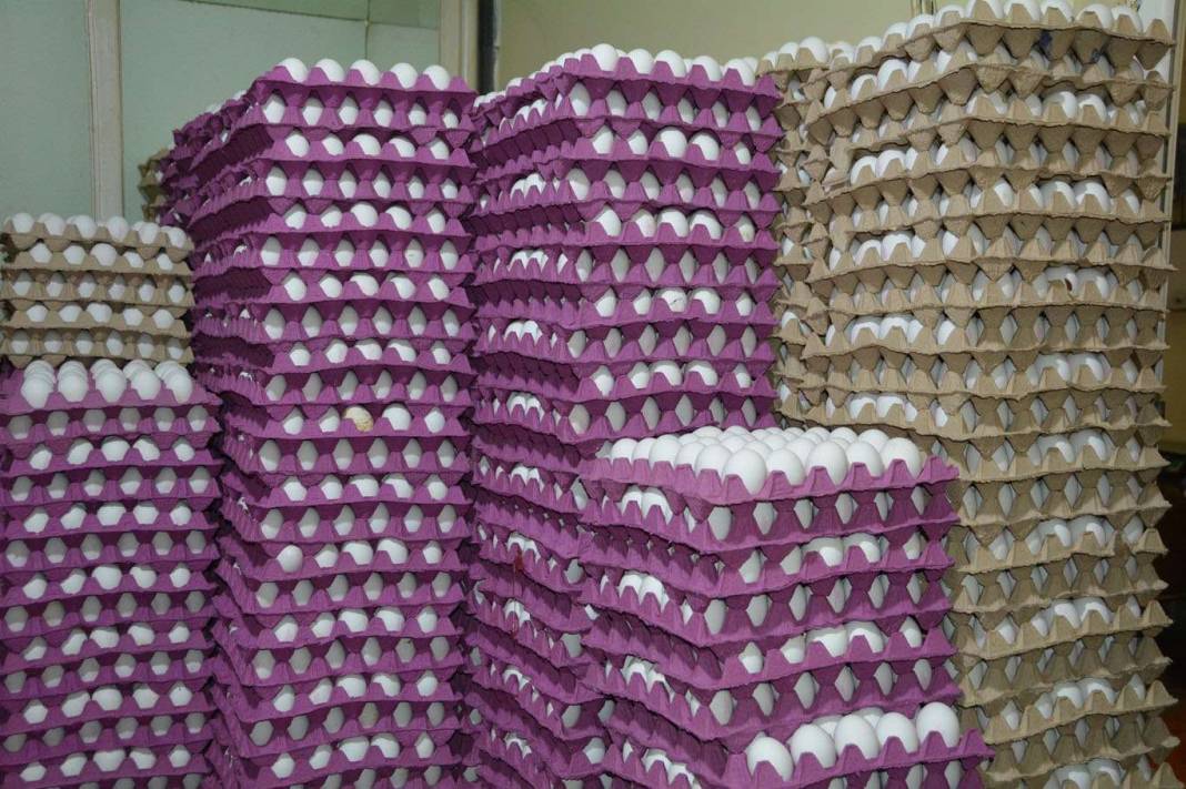 Türkiye'de en ucuz yumurtayı bu market satacak! 81 ilde binlerce şubesi var 8