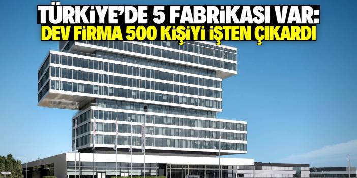 Türkiye'de 5 fabrikası olan beyaz eşya devi zor durumda! 500 kişiyi işten çıkardı