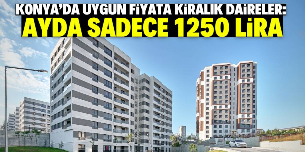 Konya'da bu dairelerin kirası sadece 1250 lira! Belediyeden büyük destek 1