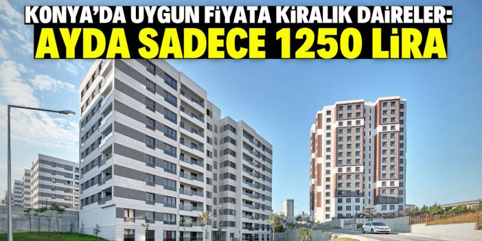 Konya'da bu dairelerin kirası sadece 1250 lira! Belediyeden büyük destek