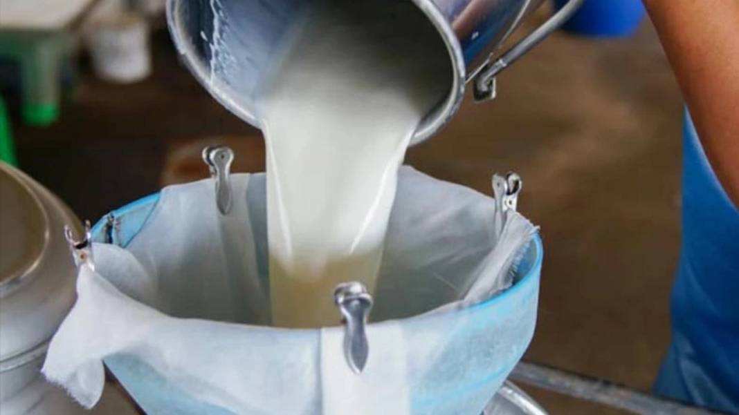 Türkiye genelinde ucuz süt satışı başladı! Litresi sadece 19 lira 5