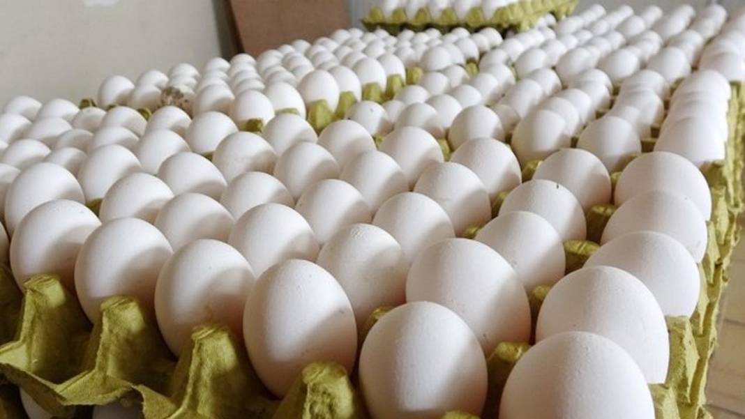 Yumurta bu marketlerde yarı fiyatına satılıyor! Ucuz satışın gerekçesi şaşırttı 5