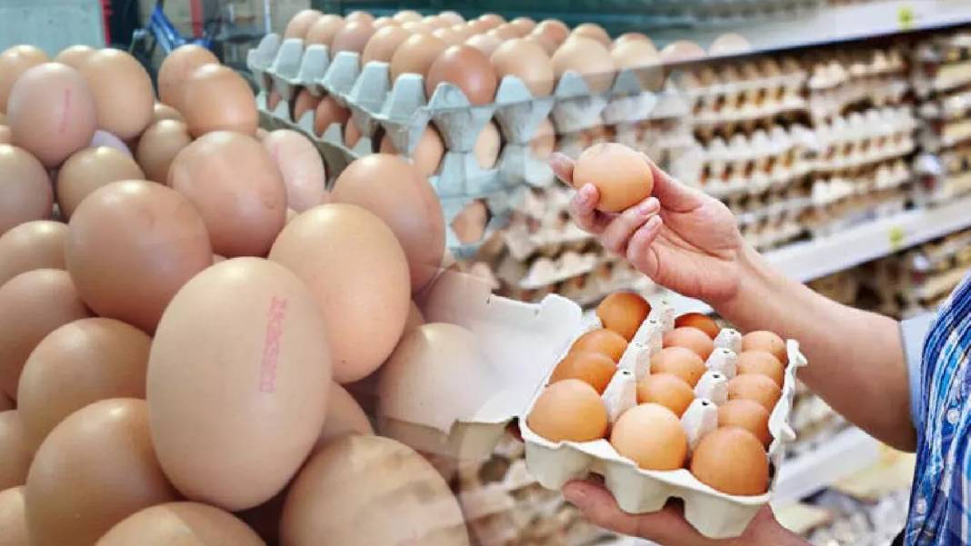 Yumurta bu marketlerde yarı fiyatına satılıyor! Ucuz satışın gerekçesi şaşırttı 8