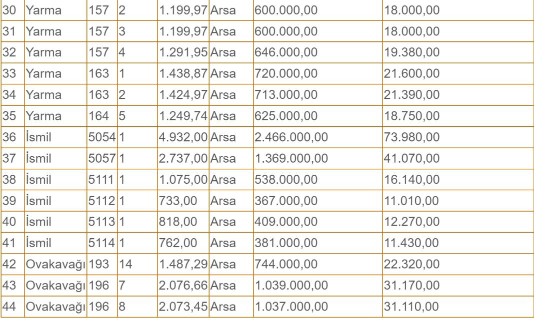 Konya'da vatandaşa yatırım fırsatı! Sadece 367 bin liraya arsa satılacak 11