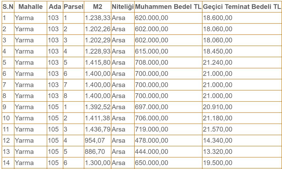 Konya'da vatandaşa yatırım fırsatı! Sadece 367 bin liraya arsa satılacak 9
