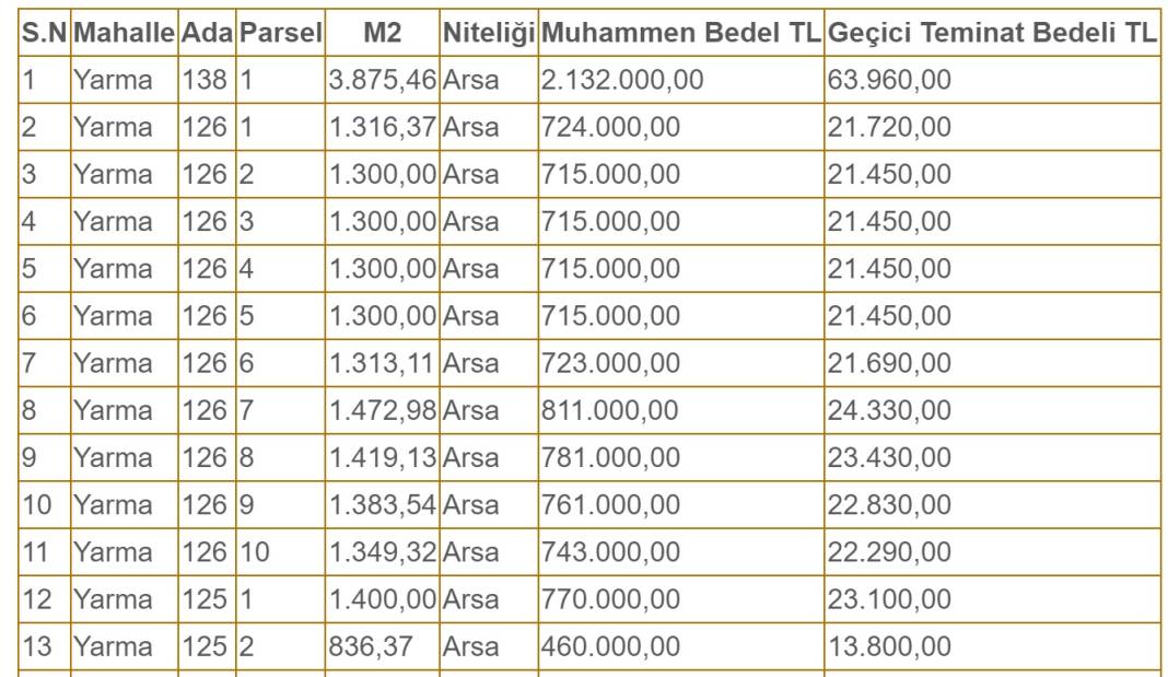 Konya'da belediye 40 arsayı çok uygun fiyata satacak! Konumları yayınlandı 10