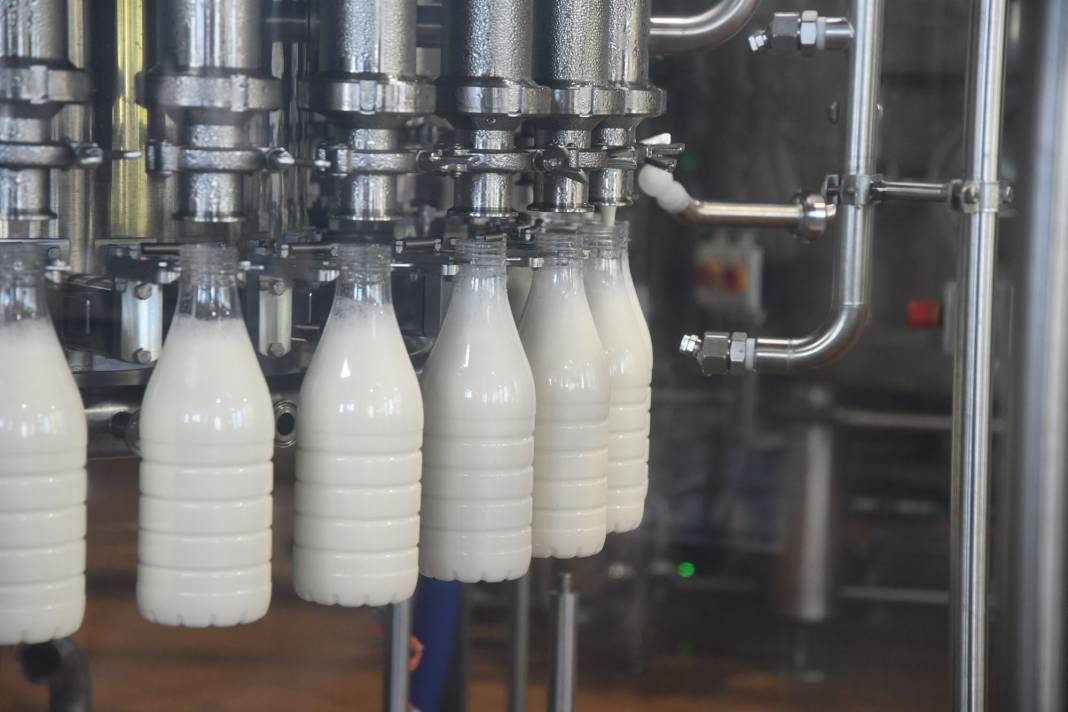 Süt üretiminde ismiyle bilinen meşhur Türk firması iflas etti 8