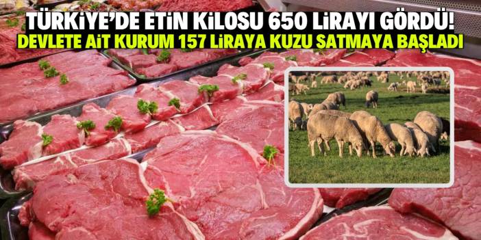 Etin kilosu 650 lirayı gördü! Devlete ait kurum 157 liraya kuzu satmaya başladı