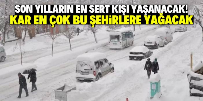 Bu şehirler en sert kış mevsimini yaşayacak! Lapa lapa kar için tarih verildi