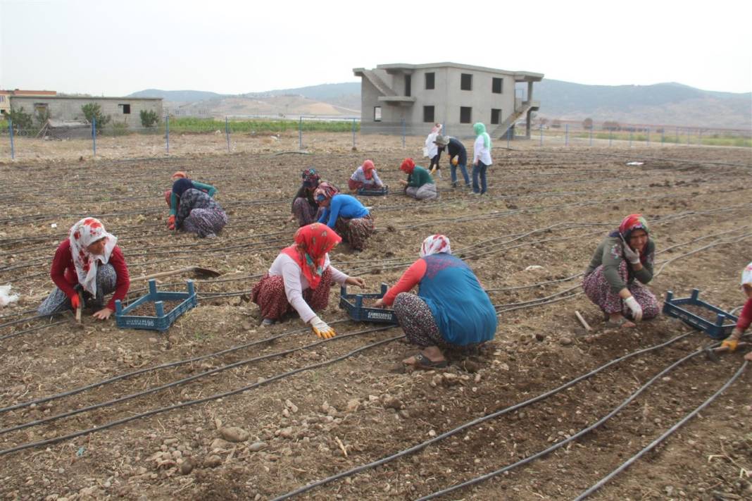 Çocukluk hayalini gerçekleştirdi! Tarladan yılda 40 milyon lira kazanıyor 3