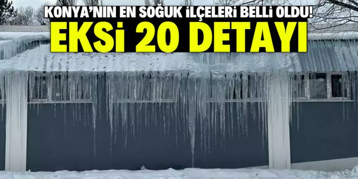 Konya'nın en soğuk ilçeleri belli oldu! Eksi 20 derece detayı