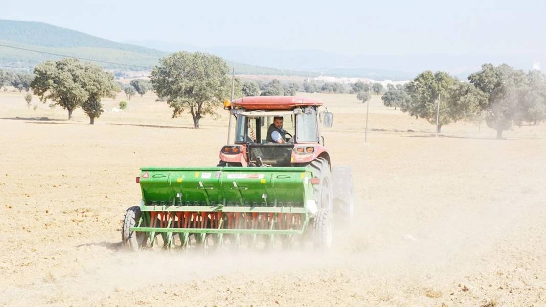 Konya'nın en büyük çiftliği satın alacak! 30 binden fazla hayvan var 2