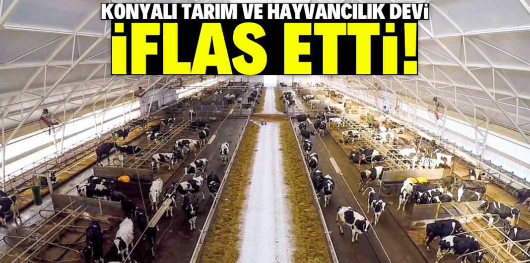 Konyalı tarım ve hayvancılık devi iflas etti! Alacaklılara çağrı yapıldı 1