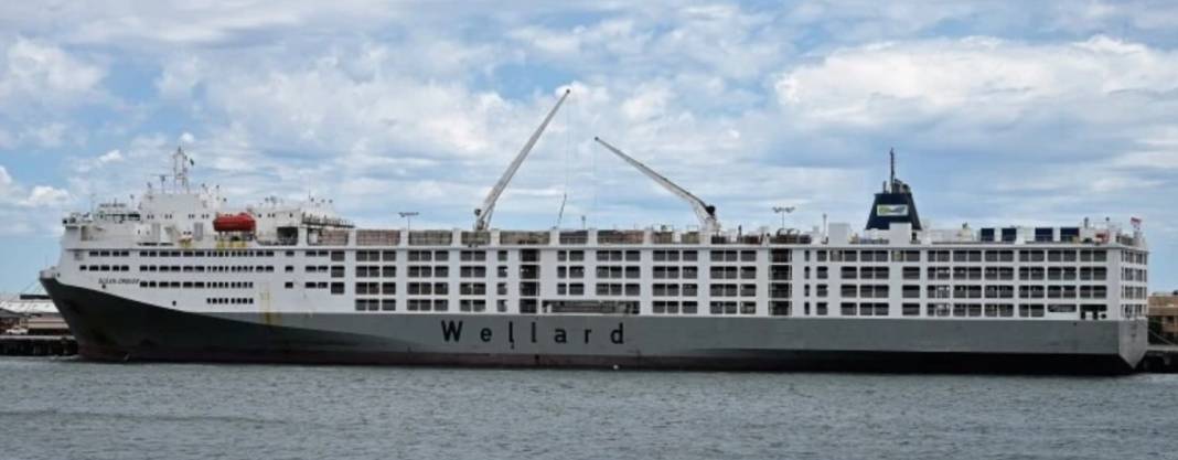 Türkiye'de et fiyatları yüzde 20 düşecek! Anlaşma imzalandı 9