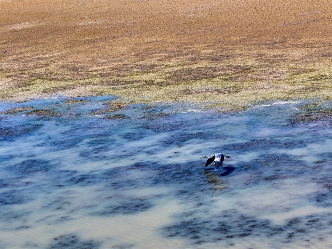 Konya'da bu barajların doluluk oranı açıklandı! Durum kritik 8
