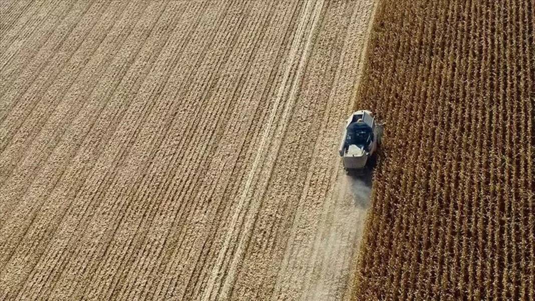 Konya'da hazine arazileri çok ucuza satılacak! Sadece 40 bin TL 1