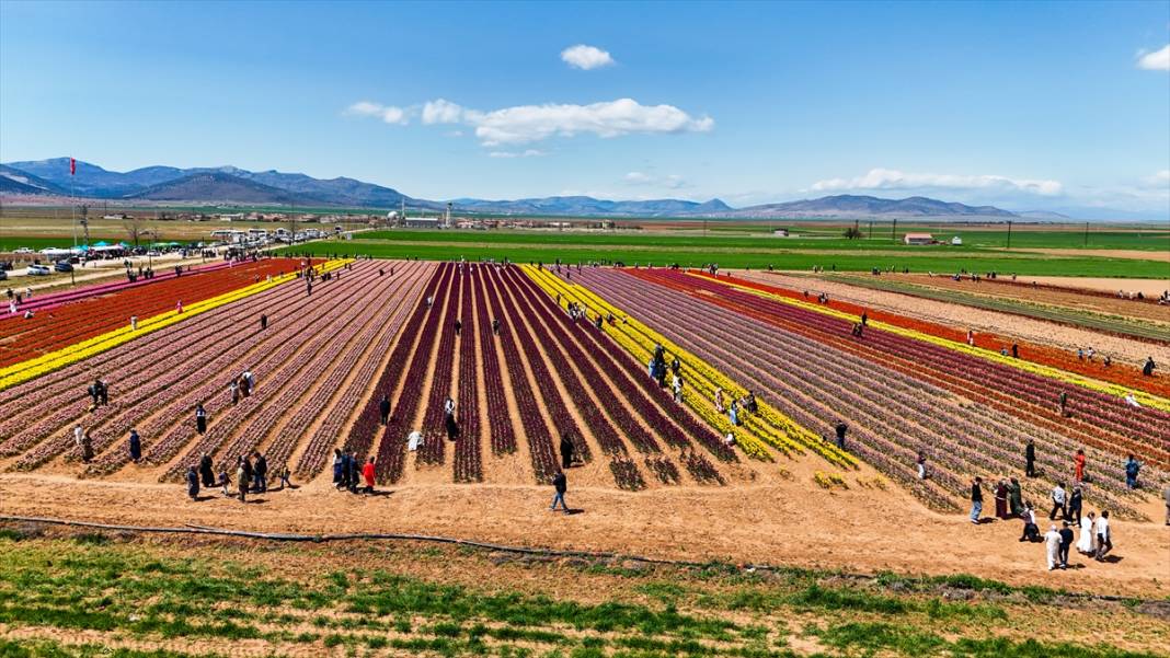 Konya ve Karaman'dan dünyaya satıyor: Osmanlı sonrası ilk kez o getirmiş! 1