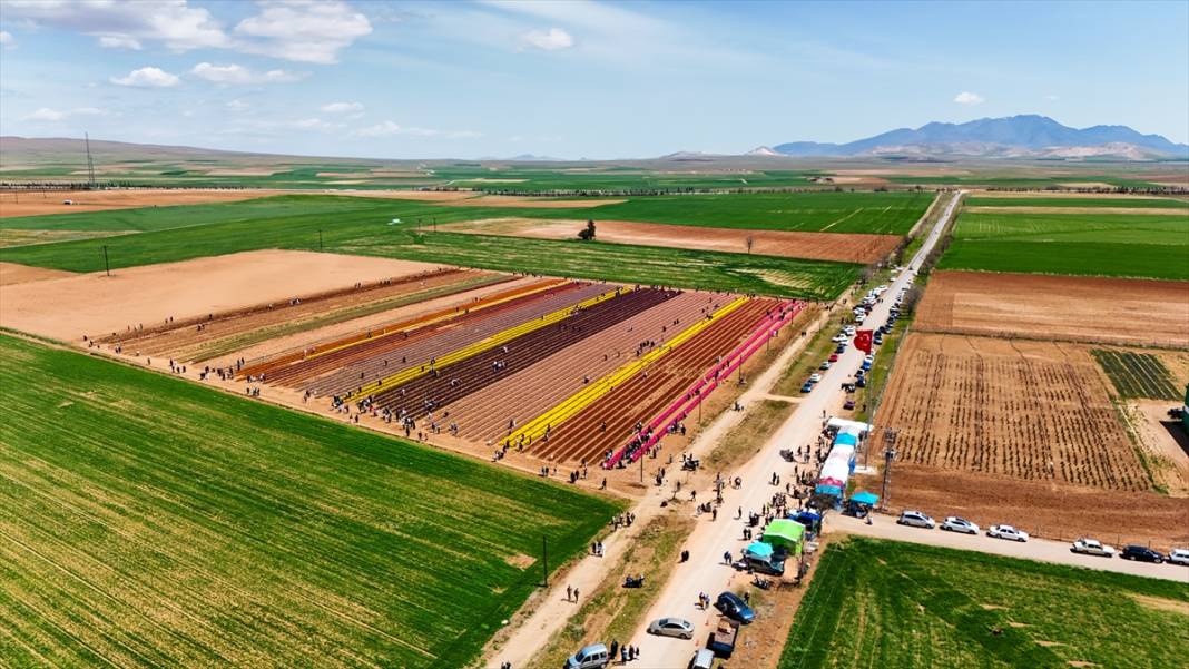 Konya ve Karaman'dan dünyaya satıyor: Osmanlı sonrası ilk kez o getirmiş! 4