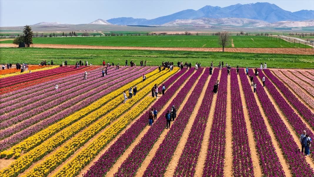 Konya ve Karaman'dan dünyaya satıyor: Osmanlı sonrası ilk kez o getirmiş! 5