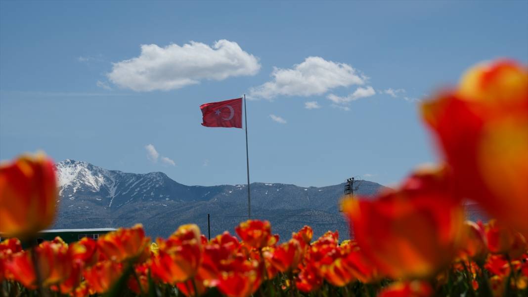 Konya ve Karaman'dan dünyaya satıyor: Osmanlı sonrası ilk kez o getirmiş! 10