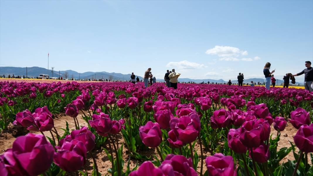 Konya ve Karaman'dan dünyaya satıyor: Osmanlı sonrası ilk kez o getirmiş! 8
