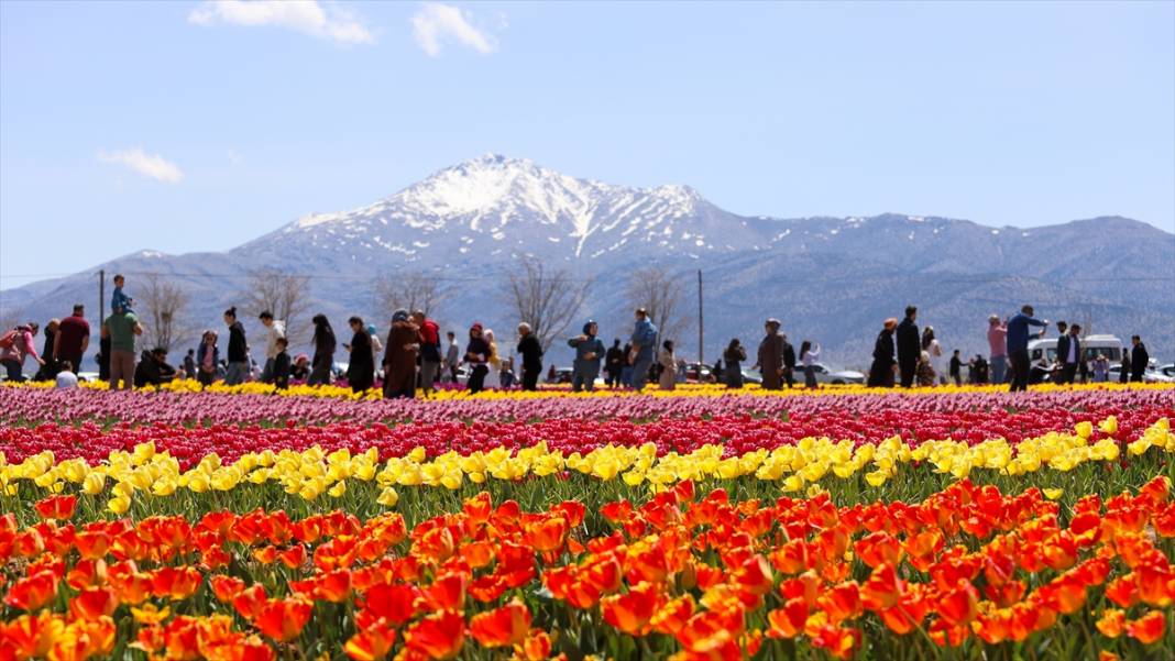 Konya ve Karaman'dan dünyaya satıyor: Osmanlı sonrası ilk kez o getirmiş! 7