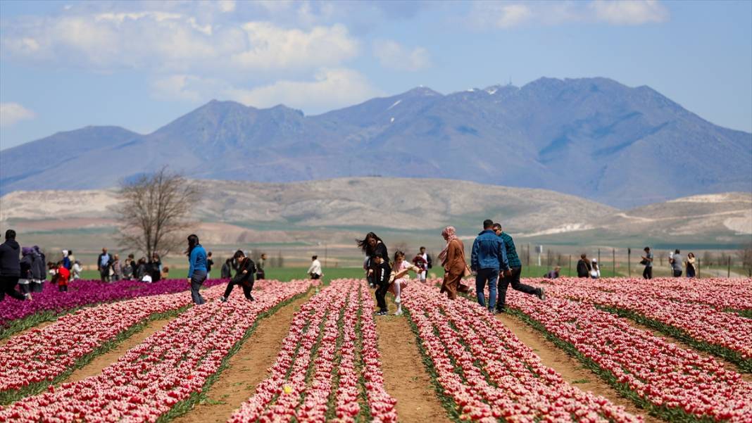 Konya ve Karaman'dan dünyaya satıyor: Osmanlı sonrası ilk kez o getirmiş! 6