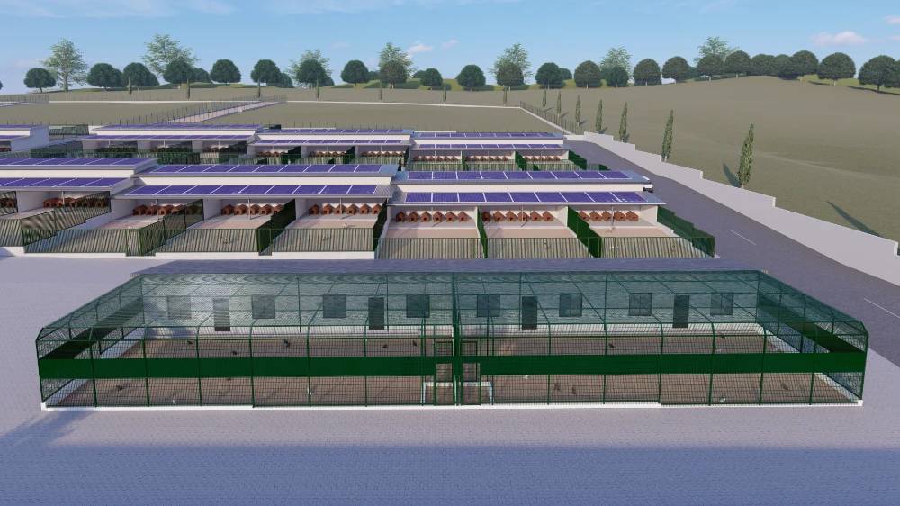 Konya Selçuklu'ya dev barınak yapılacak! Proje görselleri ve konumu belli oldu 5