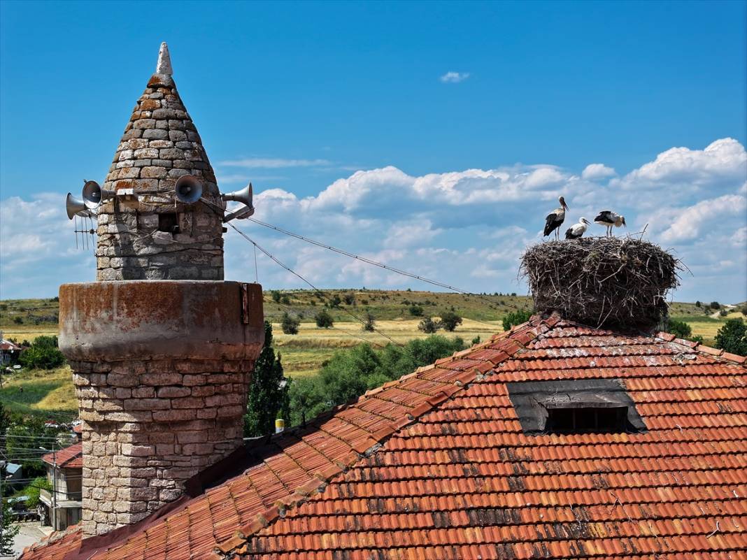 Konya'daki 661 yıllık caminin çatısında leylek yuvası var 3