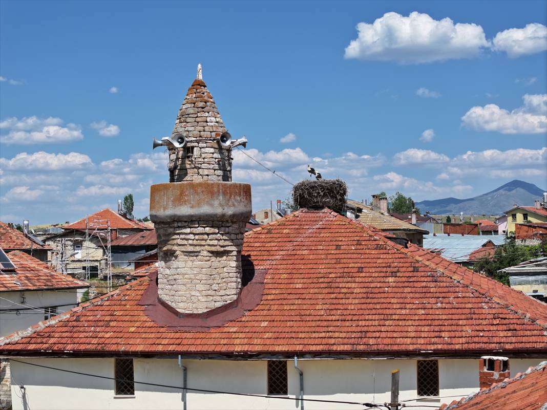 Konya'daki 661 yıllık caminin çatısında leylek yuvası var 2
