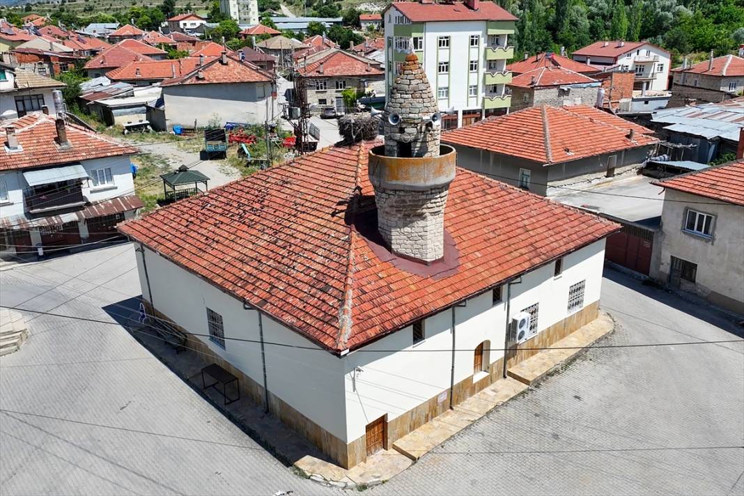 Konya'daki 661 yıllık caminin çatısında leylek yuvası var 1