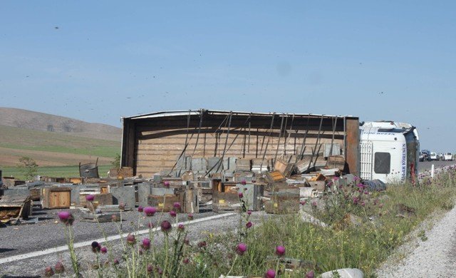 Konya'da arı kovanı yüklü kamyon devrildi: 2 yaralı 4
