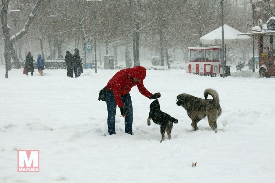Konya'dan kar manzaraları [37 FOTO] 8