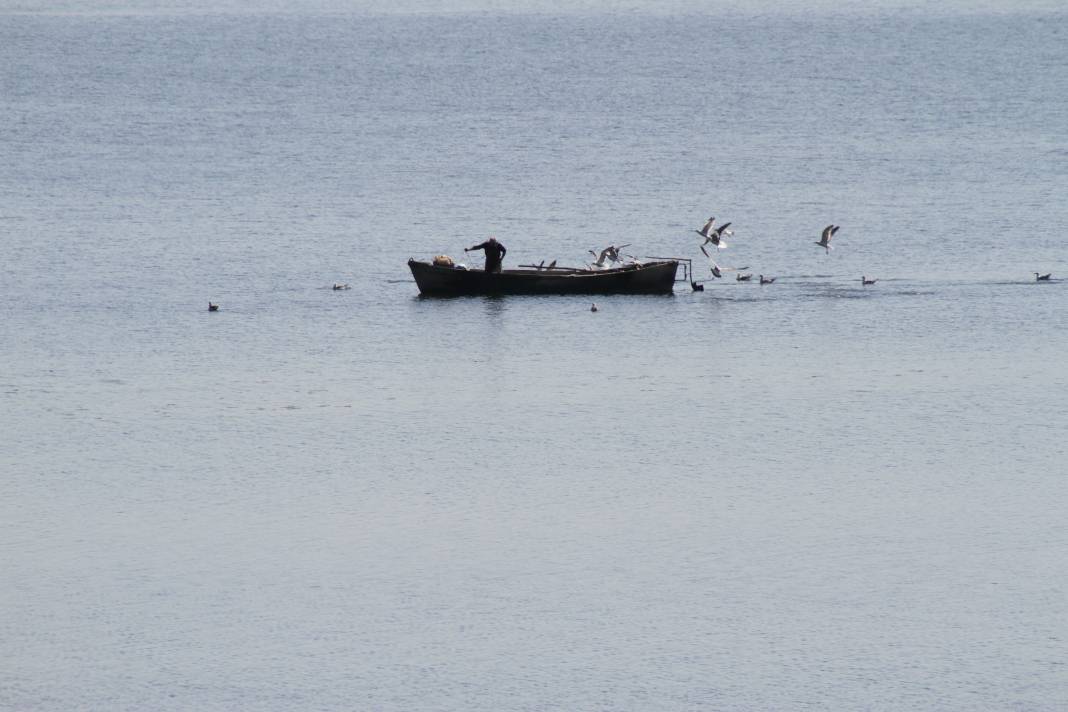 Beyşehir Gölü'nde teknelerinin peşine takılan martıların balık kapma yarışı 1